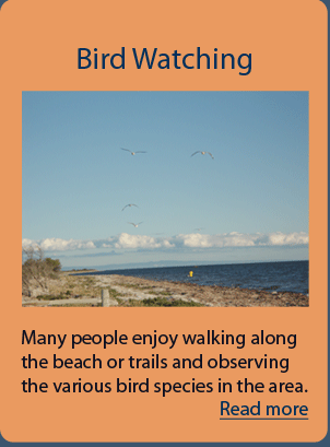 bird watching article