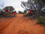 track-clearing-hw-mini.jpg