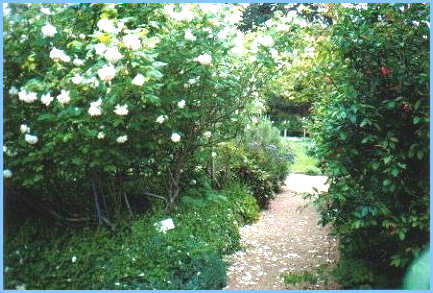 The Gardens