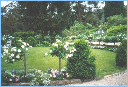 The Circular Lawn