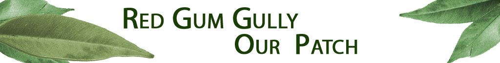 The site title image, featuring the title Red Gum Gully Our Patch with pictures of gum leaves either side.