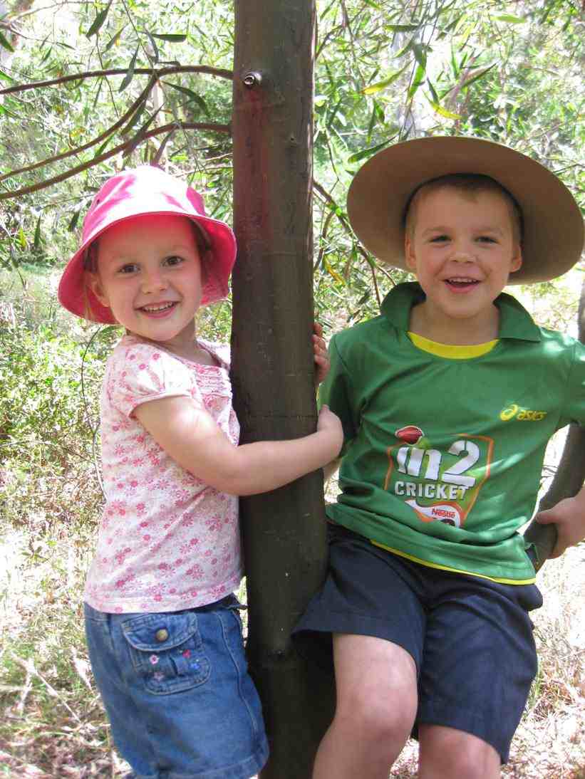 Images from red gum gully