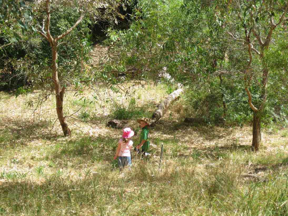 Children Playing at red Gum Gully