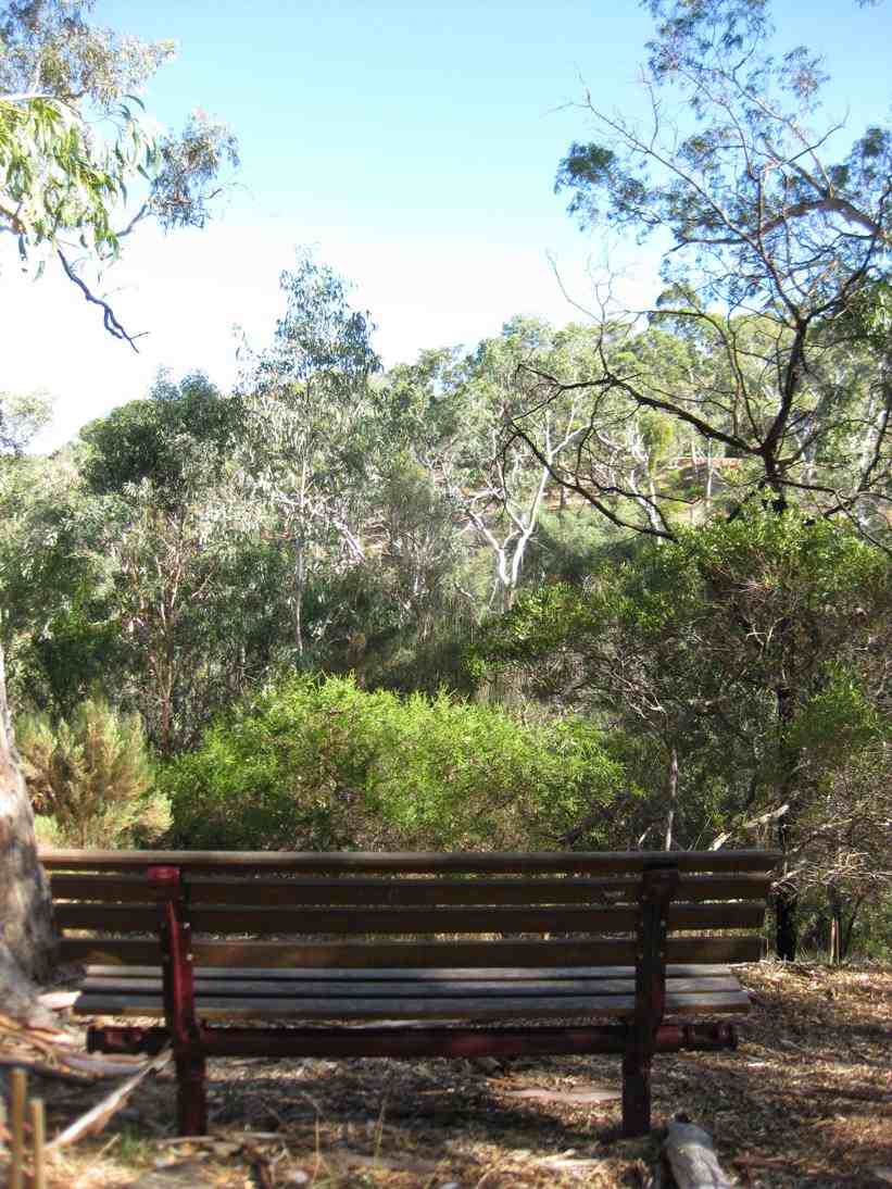 View from red gum gully