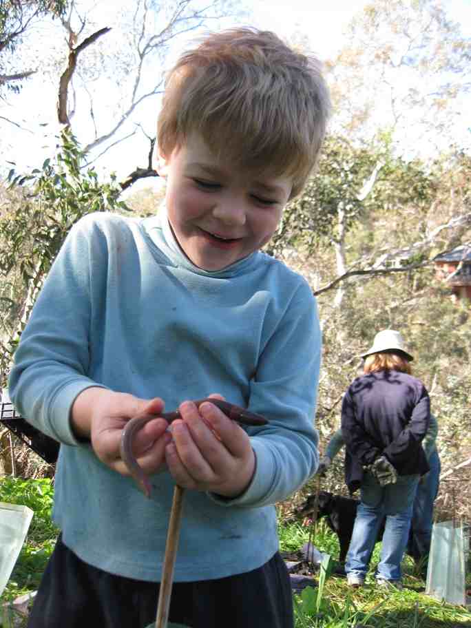 Children Playing with worms
